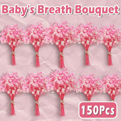 9000+ Blooms Pink Dried Baby's Breath Flowers 150 Stems for Weddings