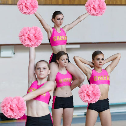 2/6/12PCS Pom Poms Cheerleading with Baton Handle Cheerleader Pompoms for Cheering Sports Games Dancing Party Team Spirit