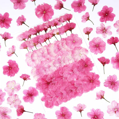 60Pcs Cherry Blossom Dried Pressed Flowers for Crafts, Edible Flowers for Cake Decorating,Resin Molds,Bookmark,Jewelry Molds,Candle Making Supplies,Soap,Frame(Pink)