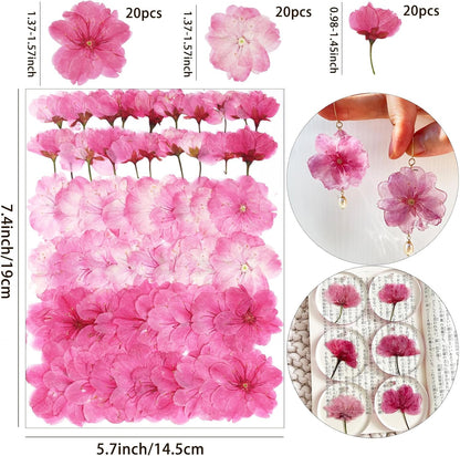 60Pcs Cherry Blossom Dried Pressed Flowers for Crafts, Edible Flowers for Cake Decorating,Resin Molds,Bookmark,Jewelry Molds,Candle Making Supplies,Soap,Frame(Pink)