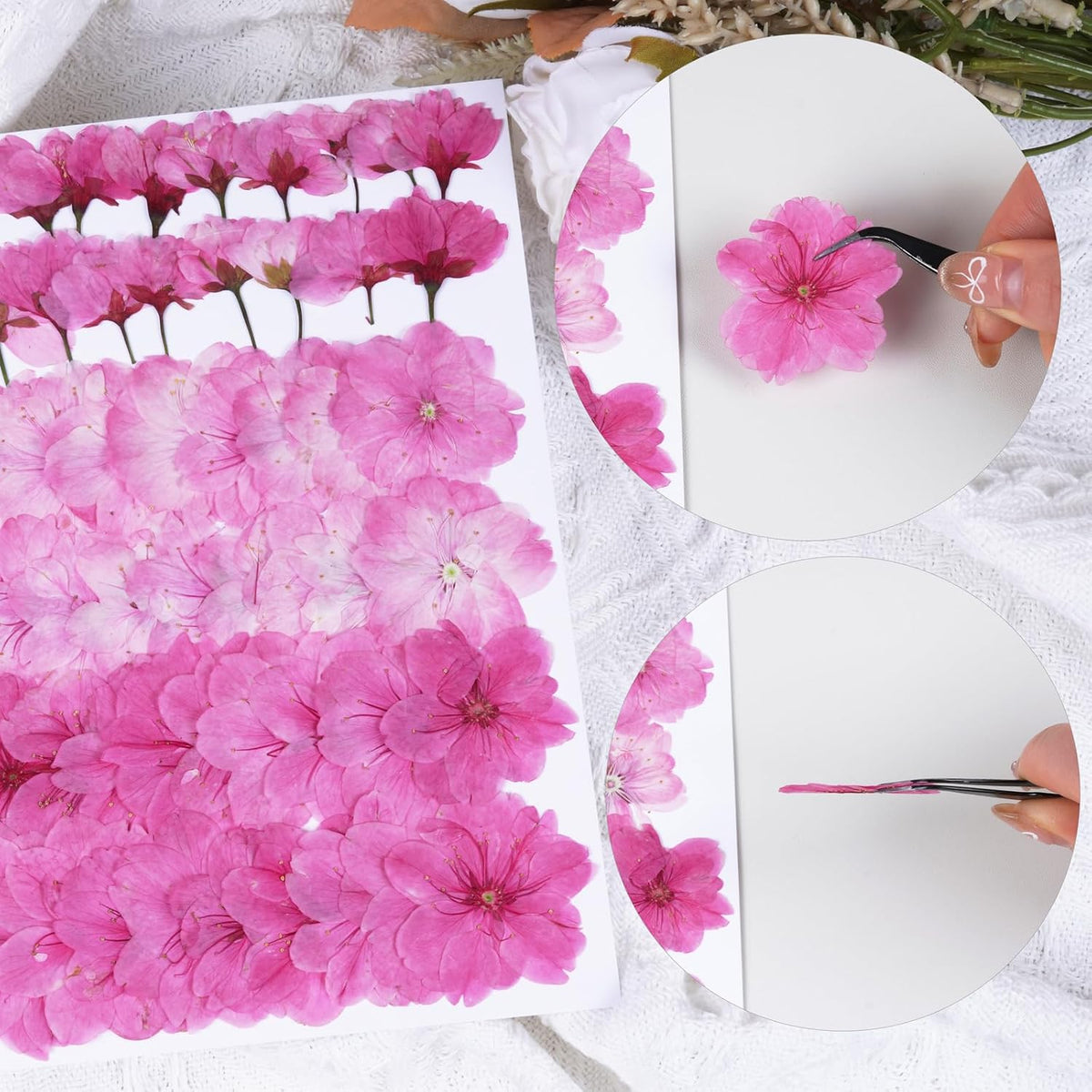 60Pcs Cherry Blossom Dried Pressed Flowers for Crafts, Edible Flowers for Cake Decorating,Resin Molds,Bookmark,Jewelry Molds,Candle Making Supplies,Soap,Frame(Pink)