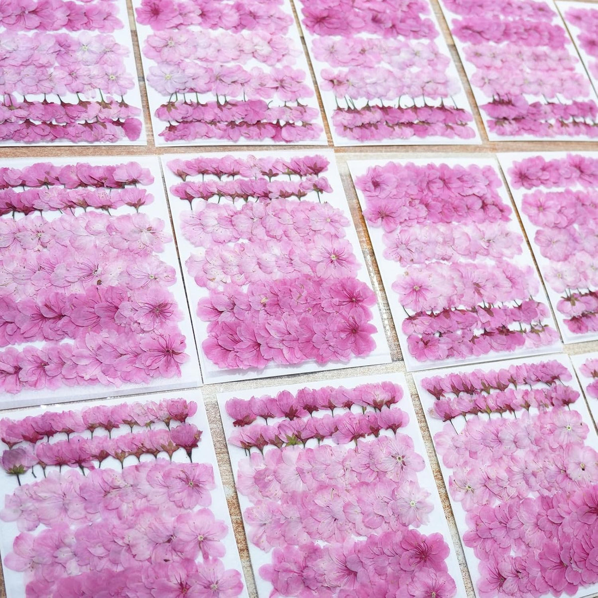 60Pcs Cherry Blossom Dried Pressed Flowers for Crafts, Edible Flowers for Cake Decorating,Resin Molds,Bookmark,Jewelry Molds,Candle Making Supplies,Soap,Frame(Pink)