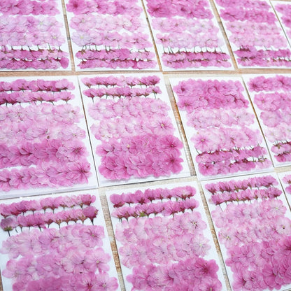60Pcs Cherry Blossom Dried Pressed Flowers for Crafts, Edible Flowers for Cake Decorating,Resin Molds,Bookmark,Jewelry Molds,Candle Making Supplies,Soap,Frame(Pink)