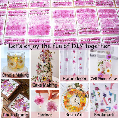 60Pcs Cherry Blossom Dried Pressed Flowers for Crafts, Edible Flowers for Cake Decorating,Resin Molds,Bookmark,Jewelry Molds,Candle Making Supplies,Soap,Frame(Pink)