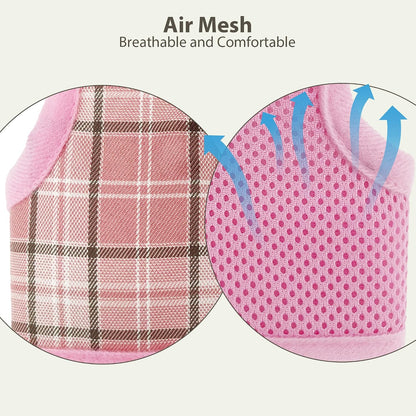 AIITLE Plaid Breathable Rabbit Harness and Leash Set Escape Proof, Pink M
