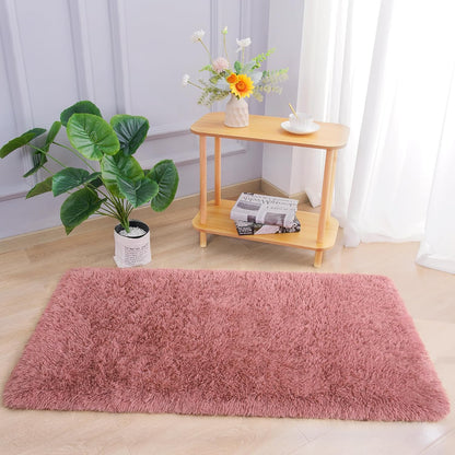 Chicrug Soft Runner Rug for Bedroom Living Room Plush Fluffy Rug 2x4