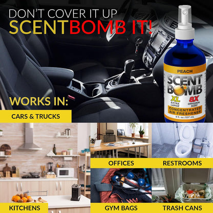 Spray, Long-Lasting Odor Eliminator for Home & Car, Effective Deodorizer Spray for Kitchen, Bathroom, Fresh Room Spray & Smell Neutralizer, Peach