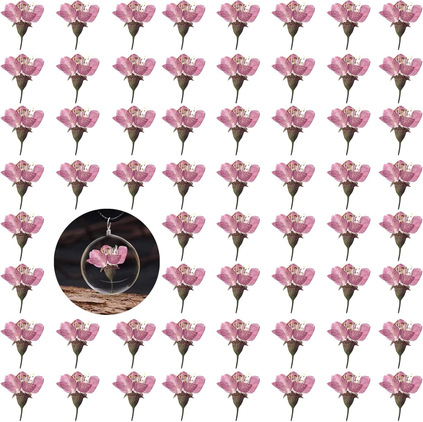 Dried Pressed Cherry Blossoms, 60PCS Pink Real Natural Dried Flowers for Resin DIY Ornament Crafts Candle Making, Natural Color