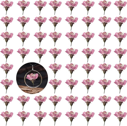 Dried Pressed Cherry Blossoms, 60PCS Pink Real Natural Dried Flowers for Resin DIY Ornament Crafts Candle Making, Natural Color