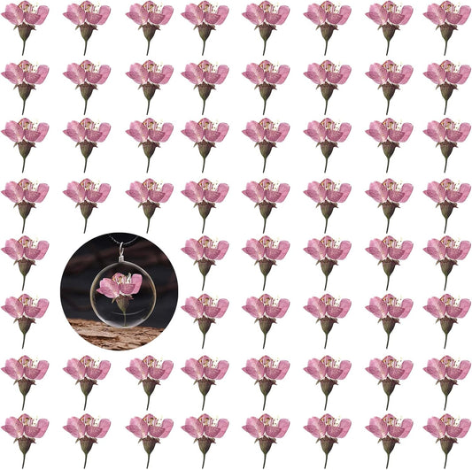 Dried Pressed Cherry Blossoms, 60PCS Pink Real Natural Dried Flowers for Resin DIY Ornament Crafts Candle Making, Natural Color