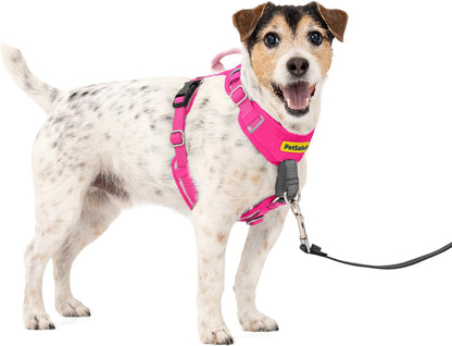 Easy Walk Comfort No Pull Dog Harness, Pink, Small