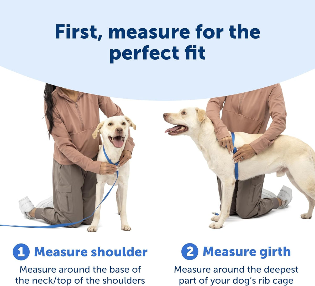 Easy Walk Comfort No Pull Dog Harness, Pink, Small