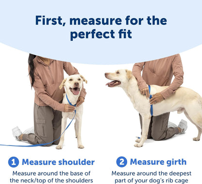 Easy Walk Comfort No Pull Dog Harness, Pink, Small