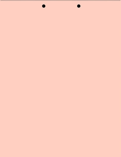 Limited Papers(TM) Writing Copy and Printing Paper, 8.5" x 11", 2 Hole Top-Punched, 20 Pound Text, 500 Sheets Per Ream. (5000, Peach)