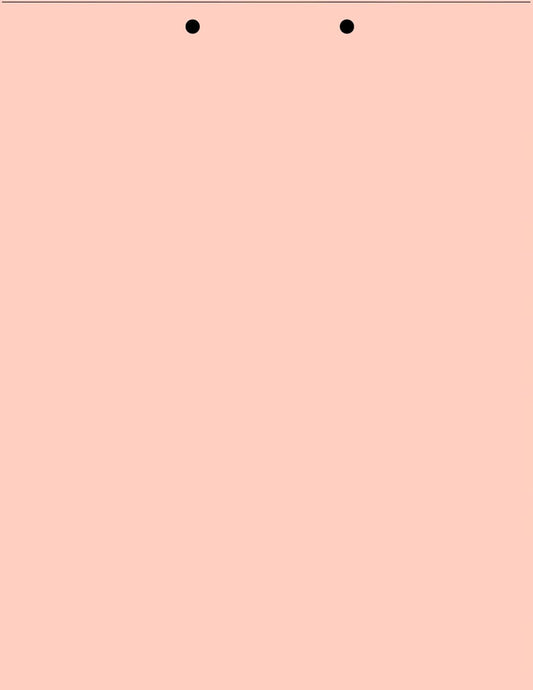 Limited Papers(TM) Writing Copy and Printing Paper, 8.5" x 11", 2 Hole Top-Punched, 20 Pound Text, 500 Sheets Per Ream. (5000, Peach)