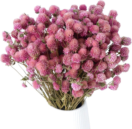 100Pcs+ Pink Dried Globe Amaranth Flowers, 100% Natural Dry Gomphrena Flower Bundles for Vase Decor Wedding Centerpieces Christmas Halloween Home Accents