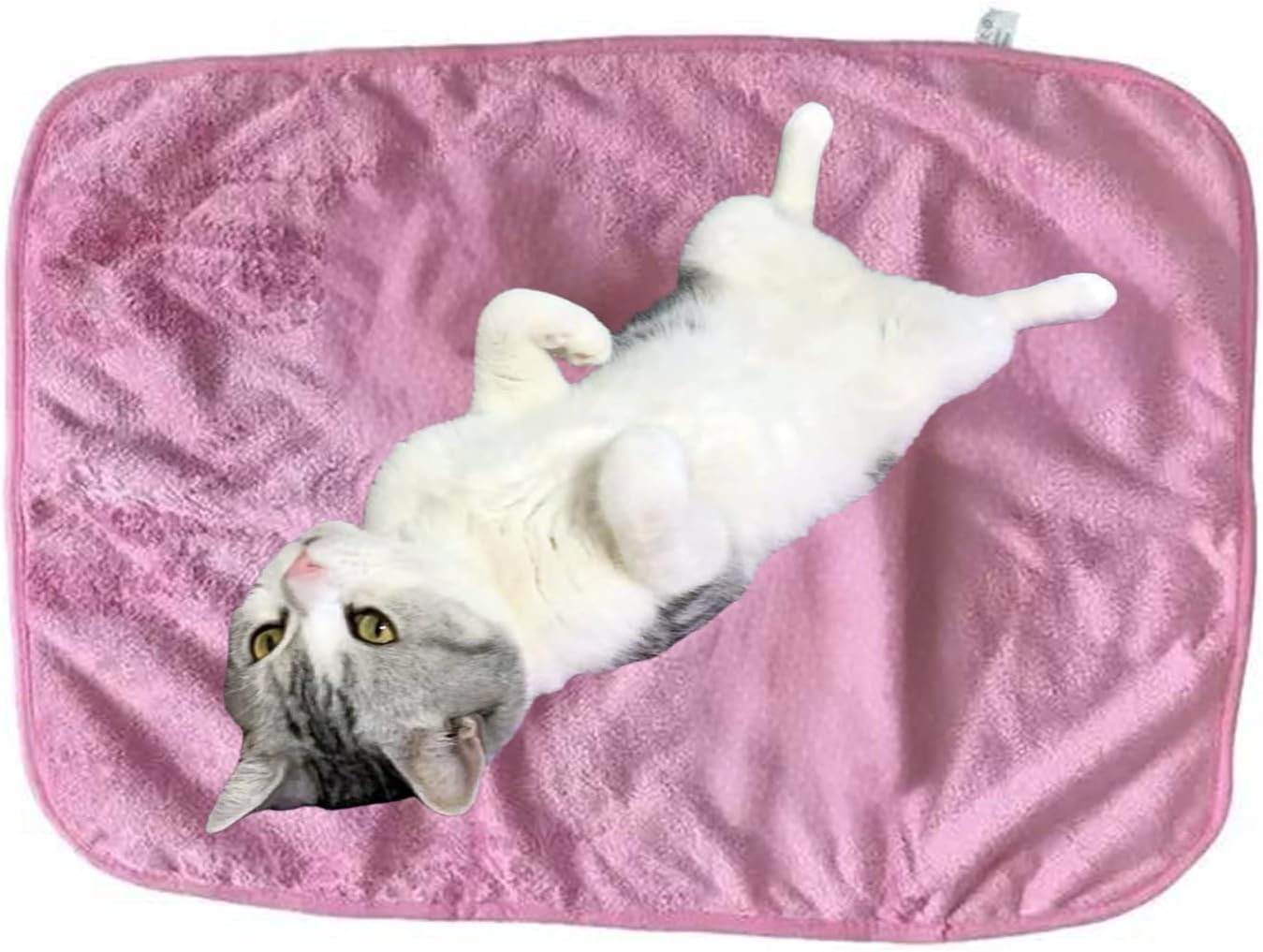 Waterproof and Pee Proof Pet Blanket, Furniture Protector Cover for Bed Sofa Couch, Machine Washable, Warm Sherpa Flannel Blanket for Small Medium Large Dogs Cats (Pink, L)