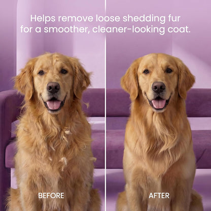 POODLIE Poodle Pet Dog Grooming Rake| Dematting Tool with Stainless Steel Shedding Comb for Pets | 2 Rows of Pins Gently Remove Loose or Tangled Hair from Undercoat | Purple Handle