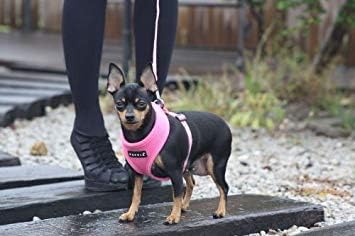 Soft Dog Harness No Choke Over-The-Head Triple Layered Breathable Mesh Adjustable Chest Belt and Quick-Release Buckle, Pink, Small
