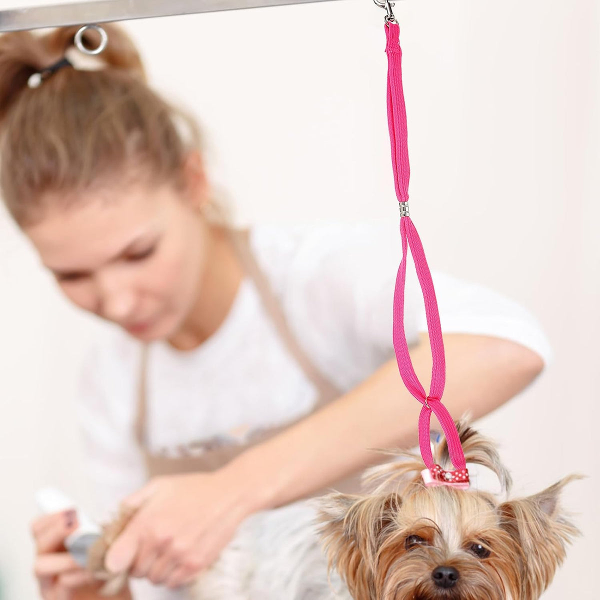 6pcs Pet Dog Grooming Loops Nylon Slip Leashes Adjustable Bathing Noose for Small Dogs Grooming Table Straps Blue Dark Gray Rose Pink