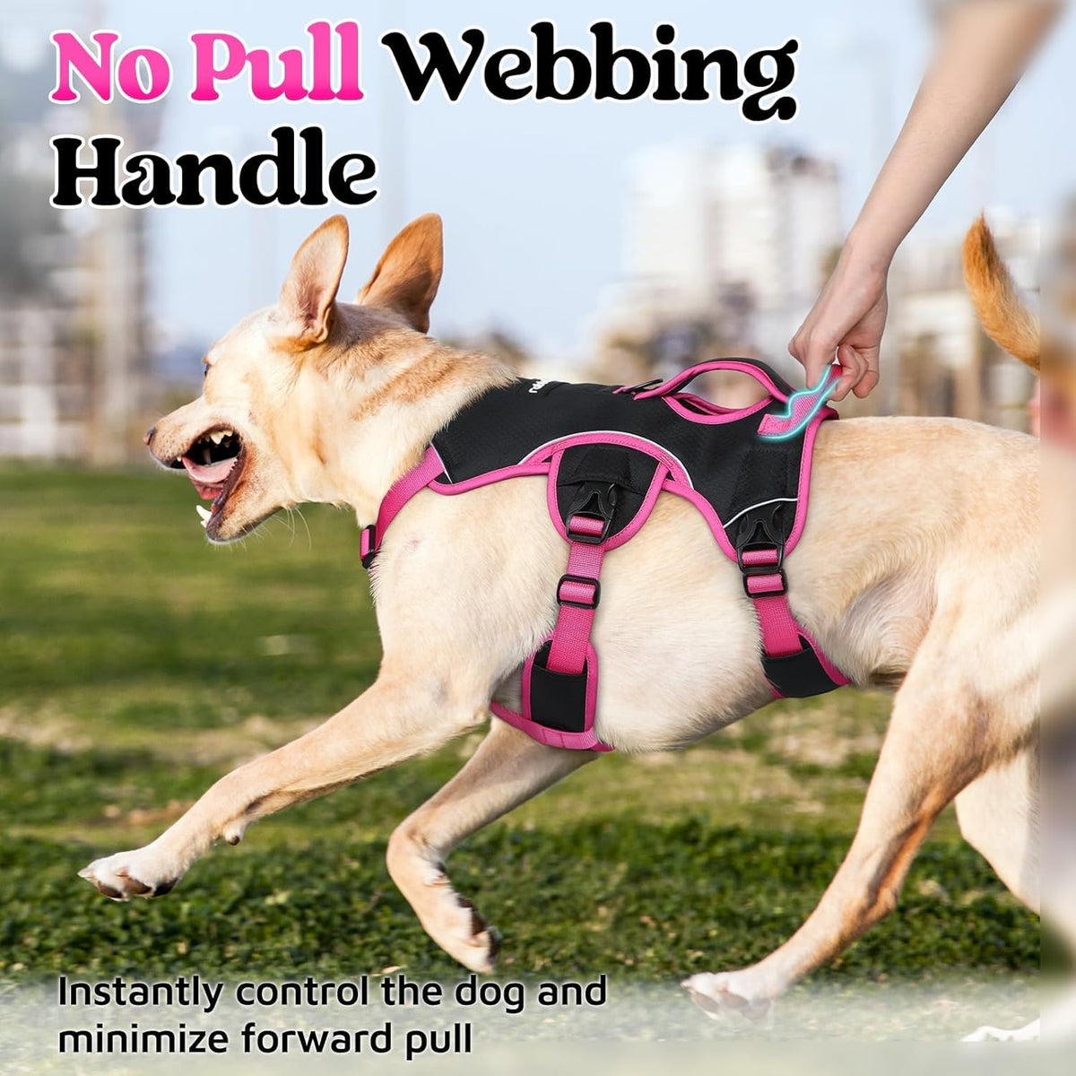 Escape Proof Dog Harness for Large, No Pull with Lift Handle