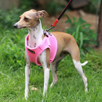 International Harness Soft B Vest Pink Large