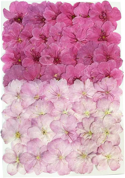 48Pcs Pressed Dried Cherry Blossom Flowers – Pink & White Mixed – Real Natural Sakura Floral for Cake Decorations Topper, Resin Jewelry, Nail Art, Epoxy Molds, Scrapbooking, DIY Crafts, Wedding Decor