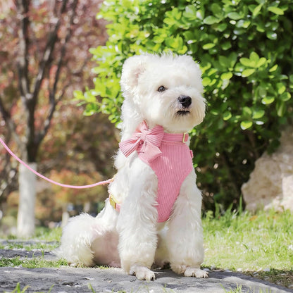 Cute Small Dog Harness Collar and Leash Set with Detachable Bowtie, Adjustable Dog Harness Collar and Leash Set with Secure Metal Buckle for Daily Walking, Parties & Holiday Pink, S