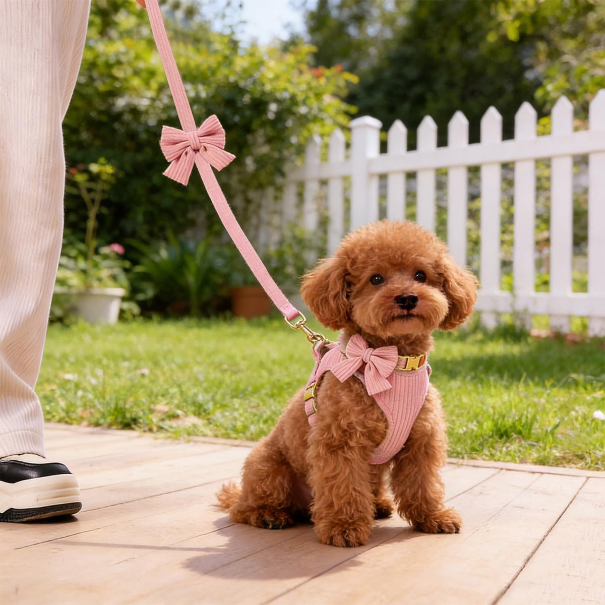 Cute Small Dog Harness Collar and Leash Set with Detachable Bowtie, Adjustable Dog Harness Collar and Leash Set with Secure Metal Buckle for Daily Walking, Parties & Holiday Pink, S