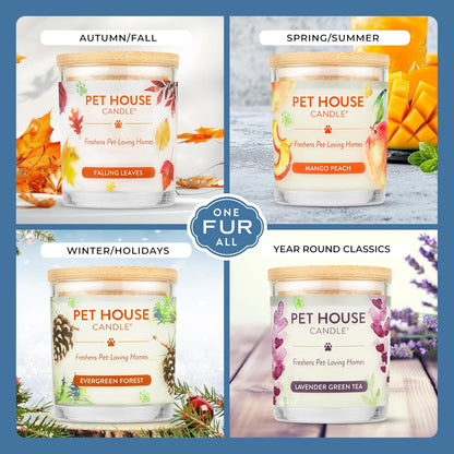 Pet House Plant-Based Pet Odor Candles, Clean Burning, Long Lasting Candle, 60 Hour Burn Time with a Natural Fiber Wick - Mango Peach