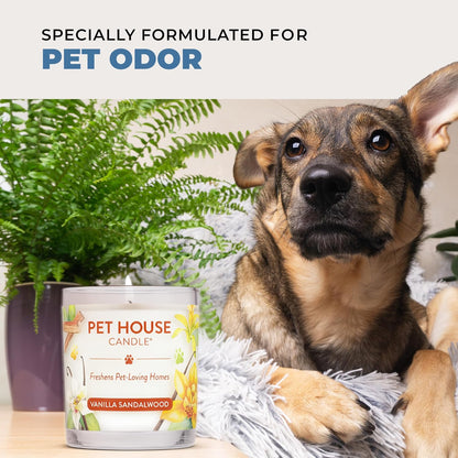 Pet House Plant-Based Pet Odor Candles, Clean Burning, Long Lasting Candle, 60 Hour Burn Time with a Natural Fiber Wick - Mango Peach