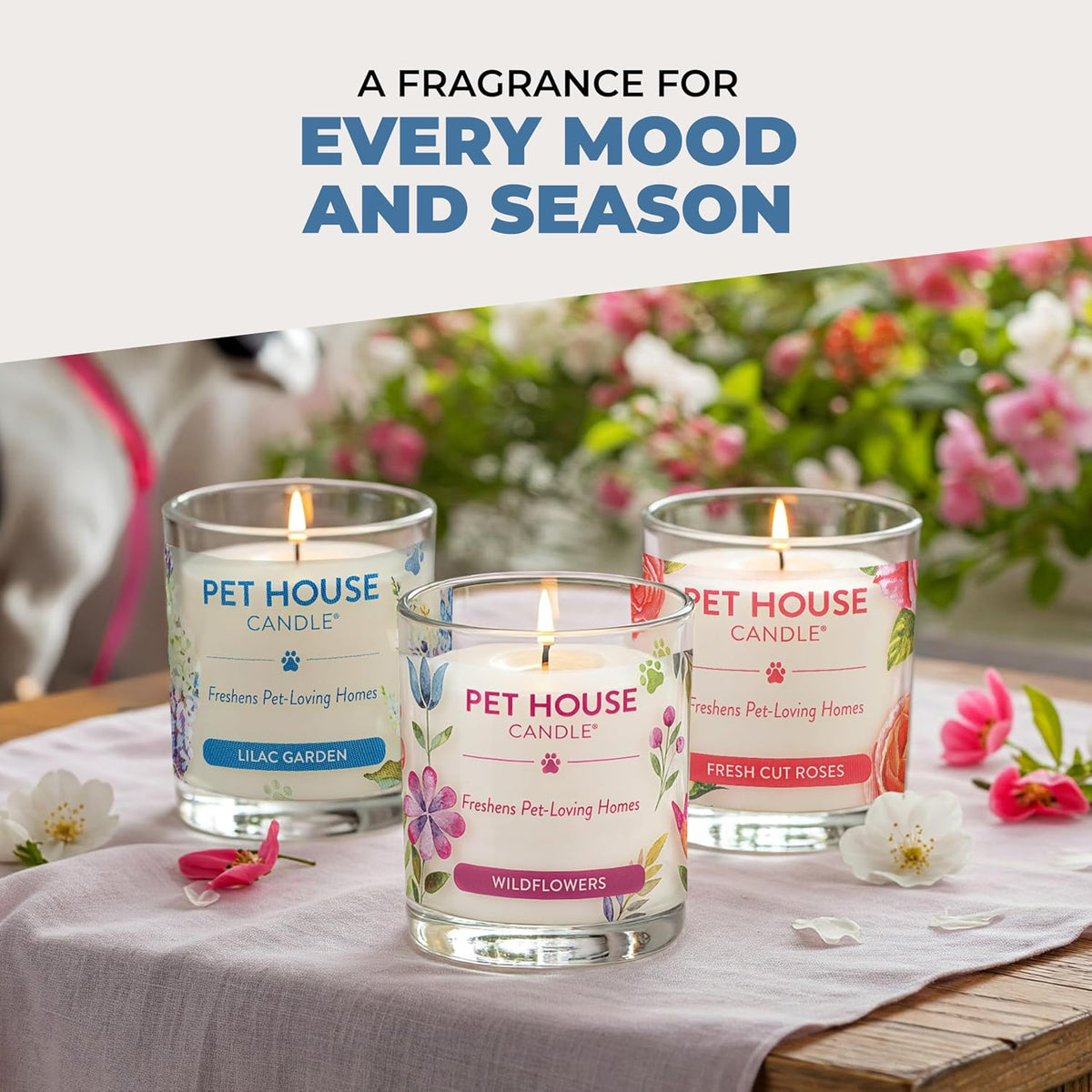 Pet House Plant-Based Pet Odor Candles, Clean Burning, Long Lasting Candle, 60 Hour Burn Time with a Natural Fiber Wick - Mango Peach