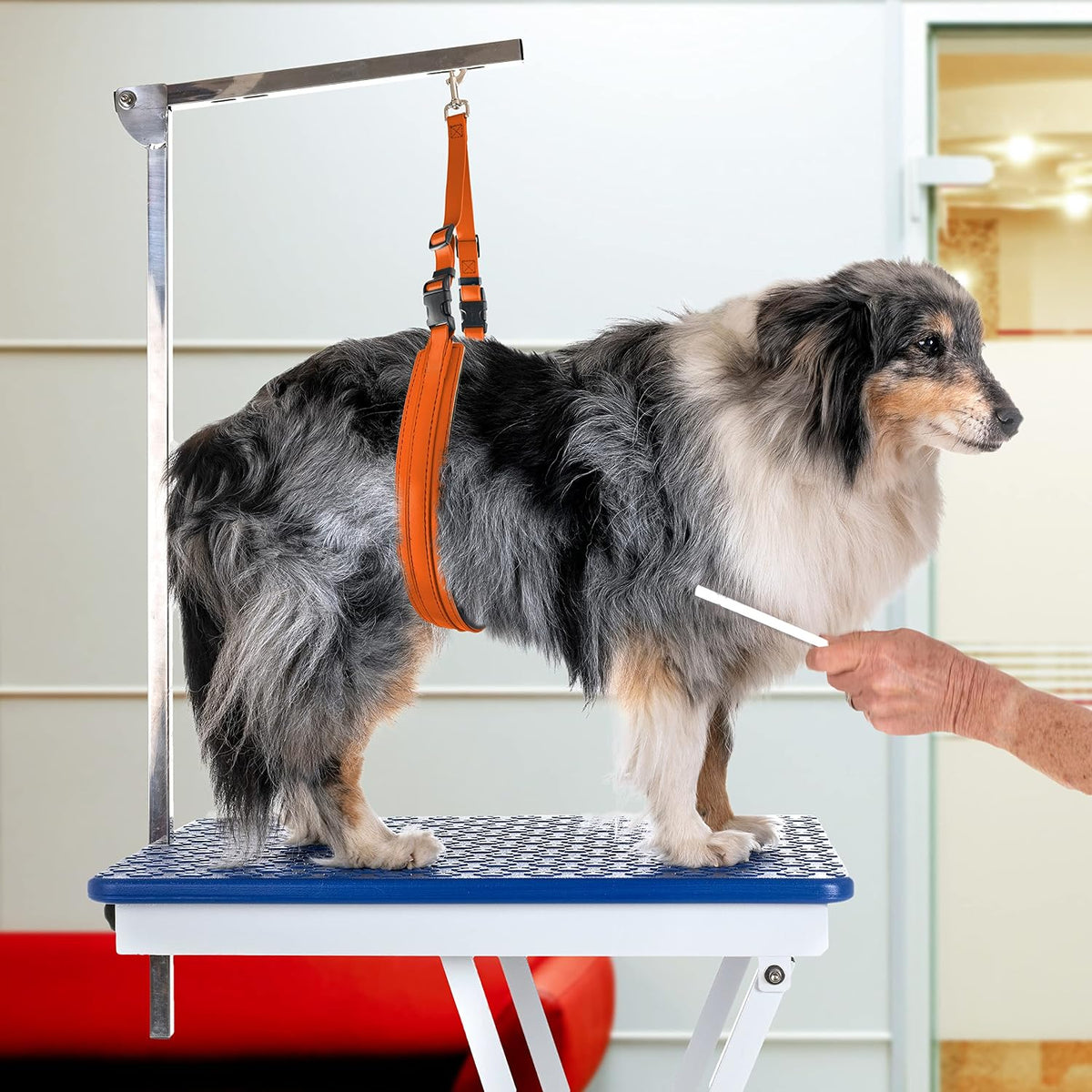 Jelly Pet Dog Belly Loop Restraint for Pet Grooming Table and Tub - Easy to Clean and Waterproof (Pink) | Made in the USA