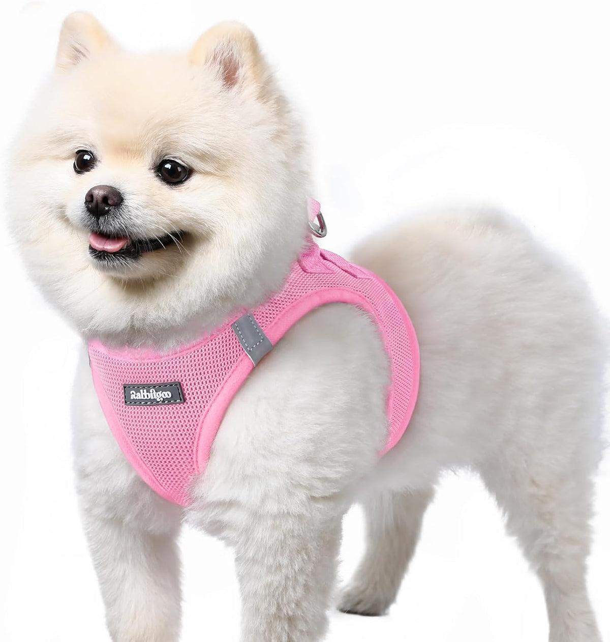 Step-in Small Dog Harness, Puppy Vest for Small Sized Pet