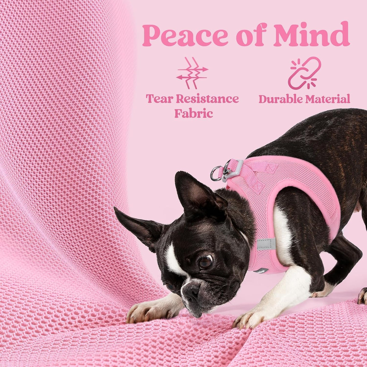 Step-in Small Dog Harness, Puppy Vest for Small Sized Pet