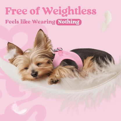 Step-in Small Dog Harness, Puppy Vest for Small Sized Pet