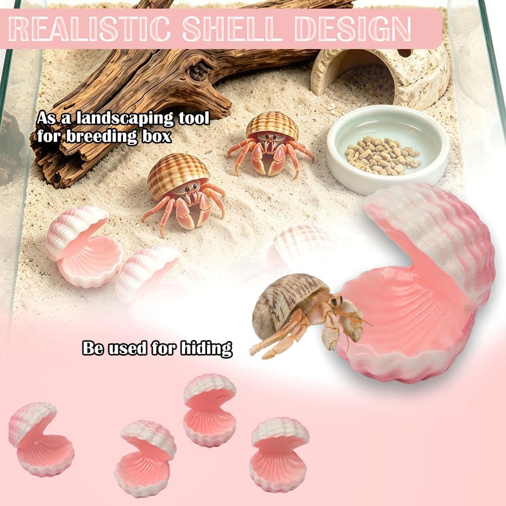 4 Pcs Tarantula Hide Terrarium Landscaping Resin Crab Simulated Shell Hideout Decoration for Spider Hermit Crab Tarantula Small Insect