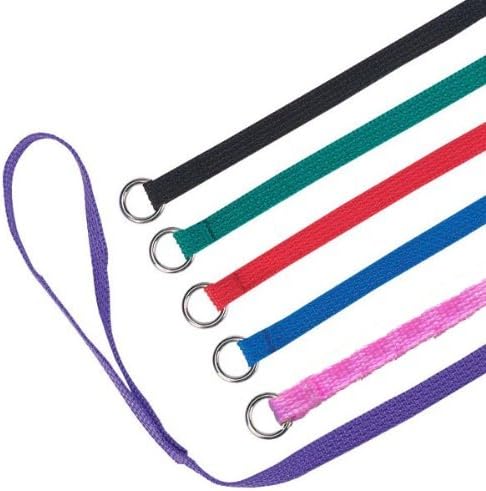 Downtown Pet Supply Slip Lead Dog Leash 6 Pack, 4' x 1/2" - Universal Dog Leash with Metal O Ring - Machine Washable for Groomers, Shelters, Rescues, Vets, or Doggy Daycares