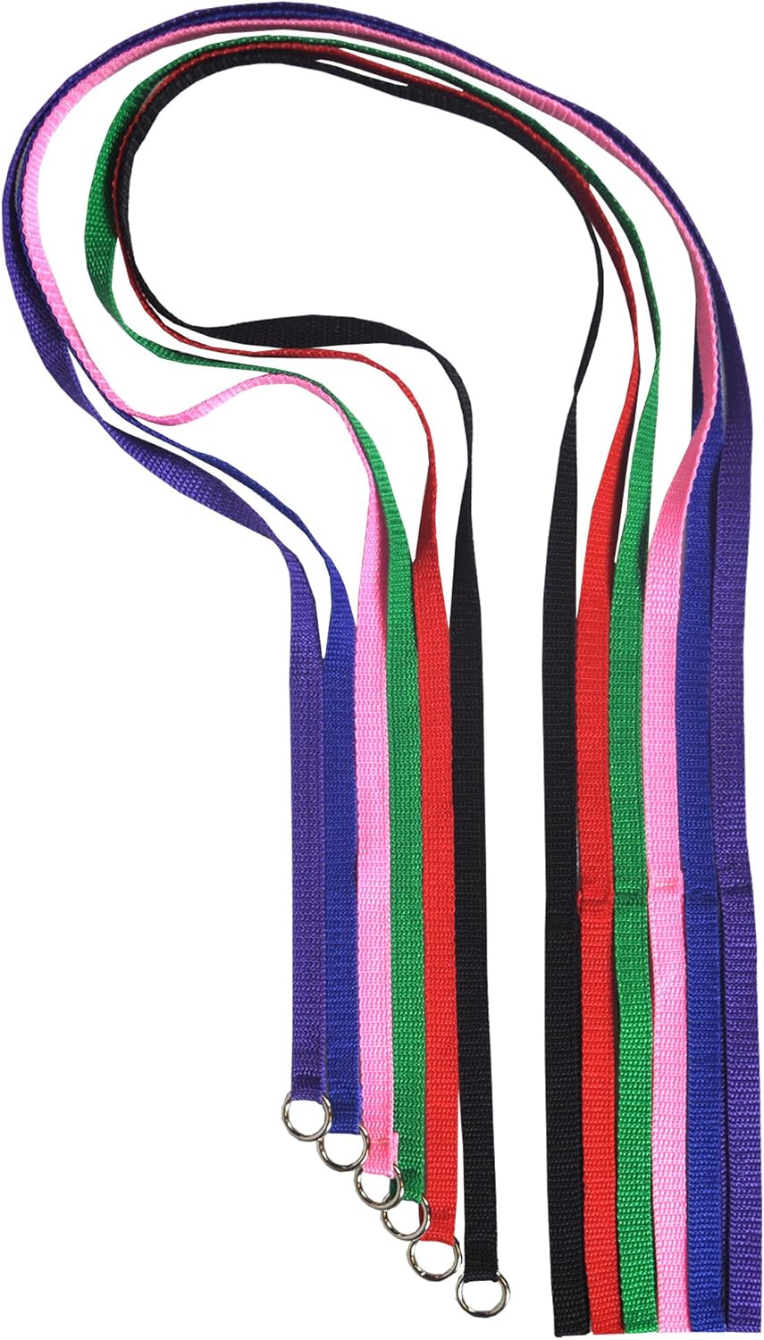 Downtown Pet Supply Slip Lead Dog Leash 6 Pack, 4' x 1/2" - Universal Dog Leash with Metal O Ring - Machine Washable for Groomers, Shelters, Rescues, Vets, or Doggy Daycares