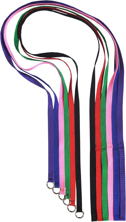Downtown Pet Supply Slip Lead Dog Leash 6 Pack, 4' x 1/2" - Universal Dog Leash with Metal O Ring - Machine Washable for Groomers, Shelters, Rescues, Vets, or Doggy Daycares