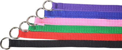 Downtown Pet Supply Slip Lead Dog Leash 6 Pack, 4' x 1/2" - Universal Dog Leash with Metal O Ring - Machine Washable for Groomers, Shelters, Rescues, Vets, or Doggy Daycares