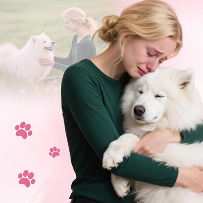 Pet Casket Body Bag,Dog or cat Burial Box with Dignity,pet caskets or Burial Boxes Alternative,eco-Conscious Body Bag with Handle & Custom Memorial Surface (Pink)