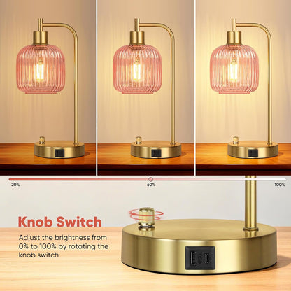 Industrial Table Lamp for Bedroom Set of 2, Pink Glass Beside Lamp with USB A&C Ports, Stepless Dimmable Gold Lamps, Nightstand Lamps for Living Room, Office, Home Decor(Bulb Included)