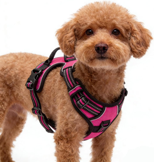 Hot Pink No-Pull Dog Harness with 2 Leash Clips，Soft Padded Vest for Small Dog, Adjustable Reflective Dog Vest Easy to Put on and Take Off,(Neck: 13"~17", Chest: 17"~21",Hot Pink Small)
