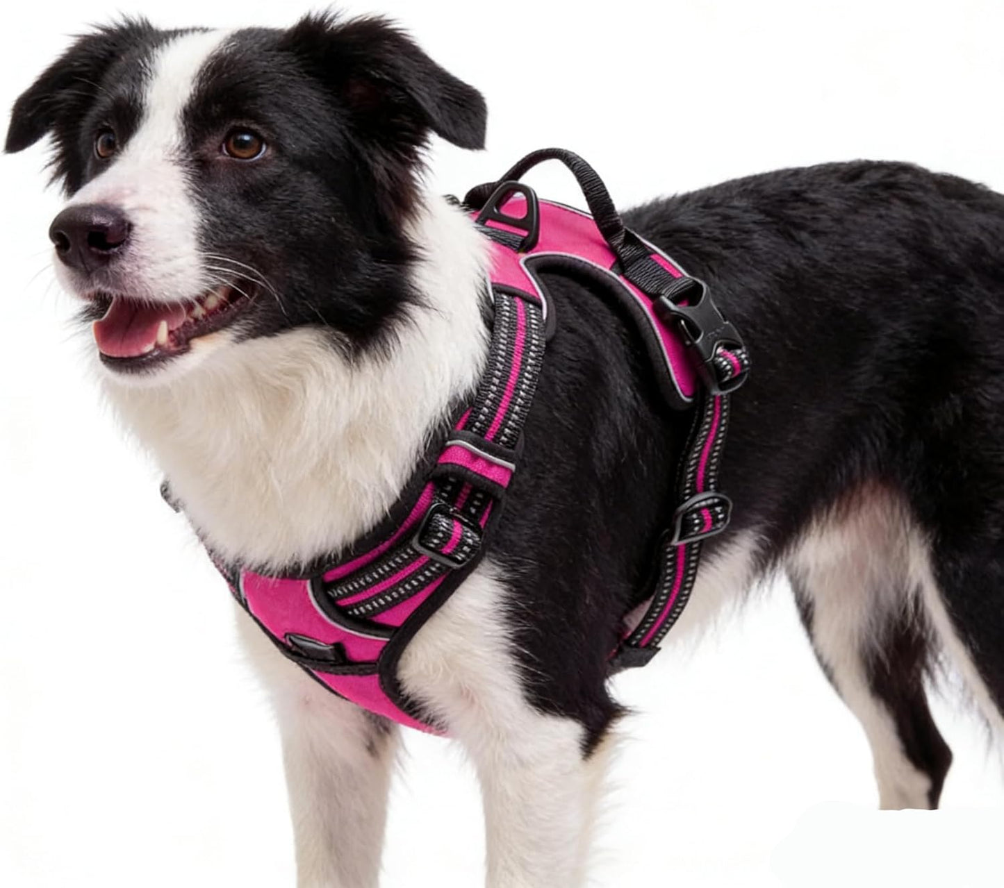 Hot Pink No-Pull Dog Harness with 2 Leash Clips，Soft Padded Vest for Small Dog, Adjustable Reflective Dog Vest Easy to Put on and Take Off,(Neck: 13"~17", Chest: 17"~21",Hot Pink Small)