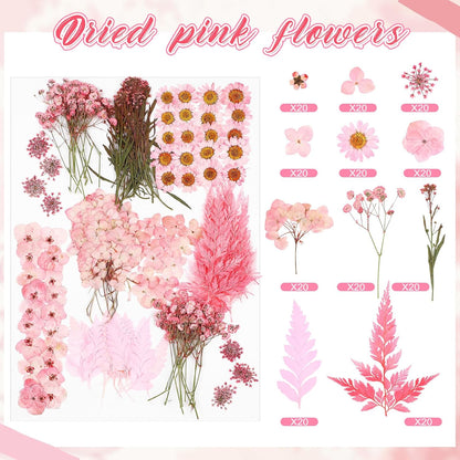 200 Pcs Dried Pressed Flowers Real Dry Natural Flower Leaf Dried Flowers for Resin Pressed Flower Kit for Plant Herbarium Scrapbooking DIY Candle Crafts (Pink)