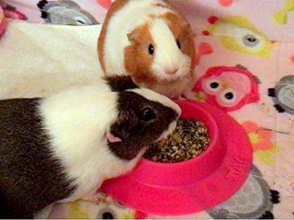 Tip-Proof Ergonomic Pet Bowl for Guinea Pig and Other Small Pets, 1/4-Cup Small Size, Fuchsia (Pink)
