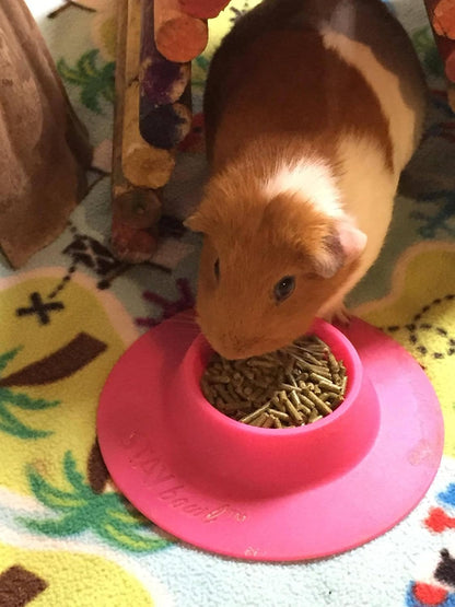 Tip-Proof Ergonomic Pet Bowl for Guinea Pig and Other Small Pets, 1/4-Cup Small Size, Fuchsia (Pink)