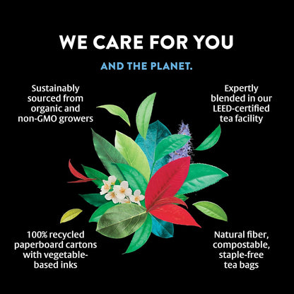 Organic Picnic Peach Tea (6 Pack) - Rainforest Alliance - Contains Caffeine - 96 Organic Black Tea Bags