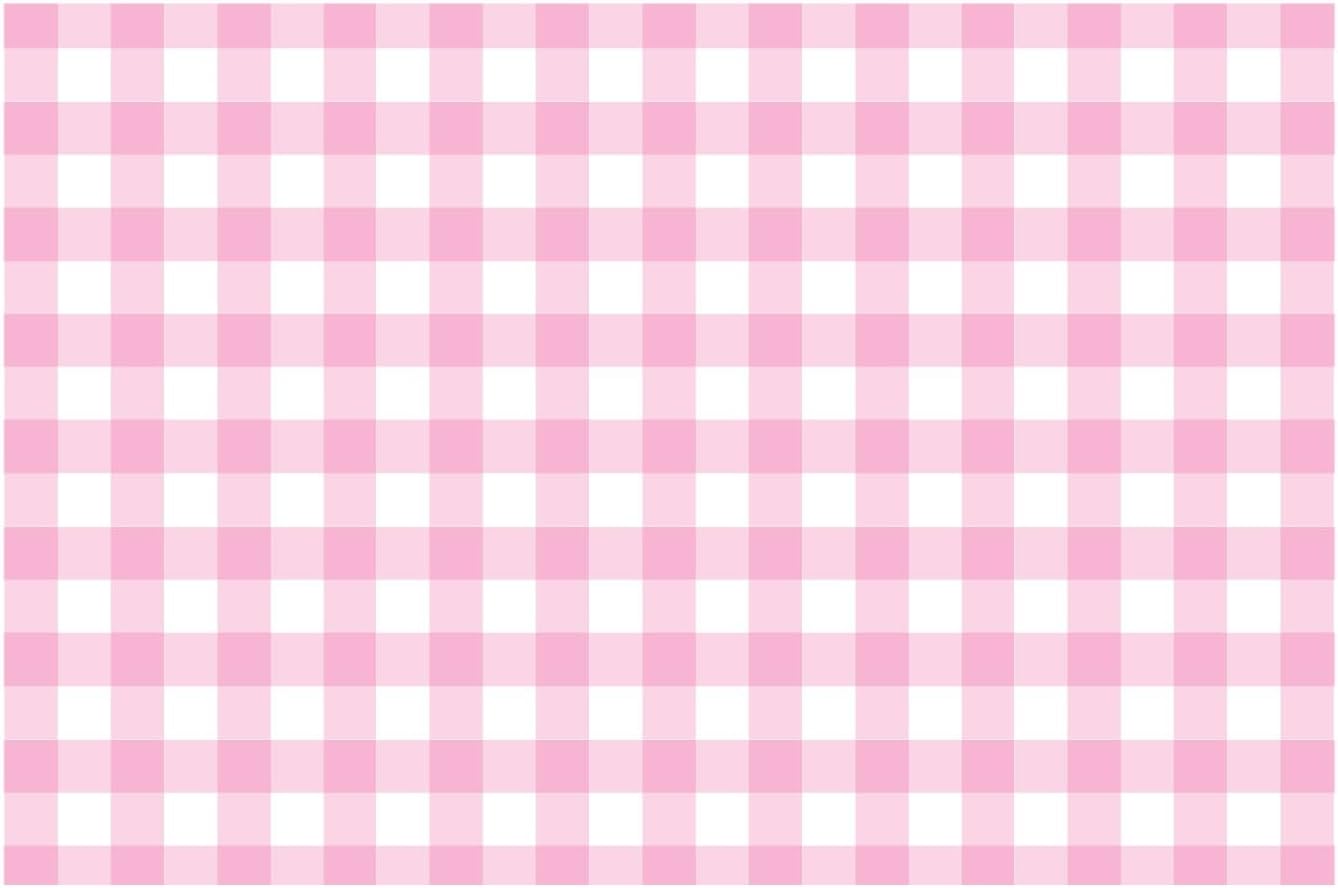 Baby Pink Gingham Paper Placemats - Set of 24 Disposable Placemats 12" x 18" - Perfect for Weddings, Parties, Backyard BBQ's, Bridal/Baby Shower - Printed on Quality Thick Paper - Made in the USA